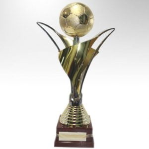 Futbol Ödül Kupası